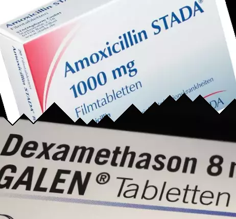 Amoxicilline contre Dexaméthasone