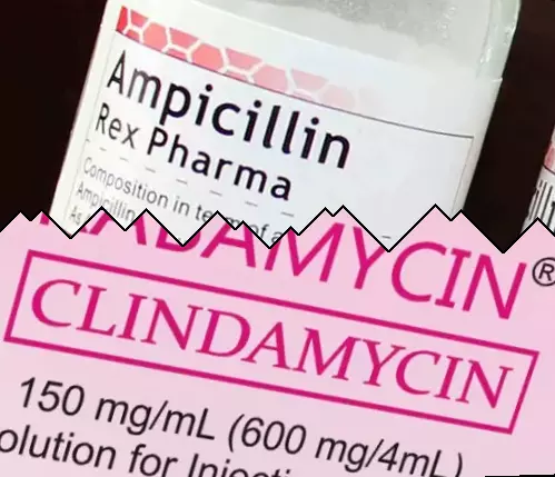 Ampicilline contre Clindamycine