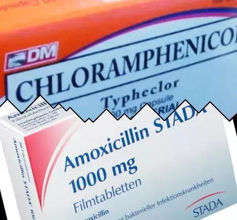Chloramphénicol contre Amoxicilline